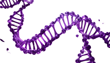 A swirling, glowing purple double helix structure against a stark black backdrop