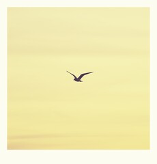 Abendstimmung an der Küste