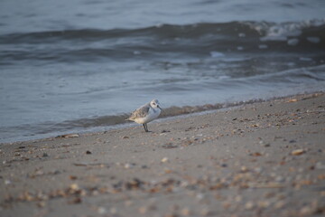 Abendstimmung an der Küste