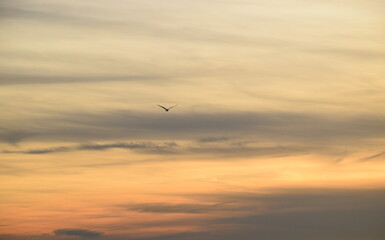 Abendstimmung an der Küste