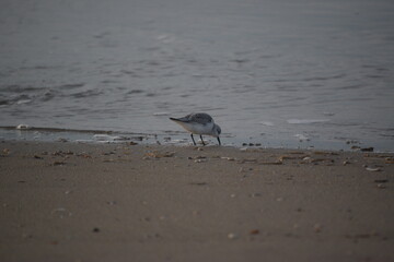Abendstimmung an der Küste