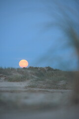 Abendstimmung an der Küste