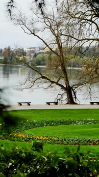 Beautiful spring day by the lakeside with blooming flowers and bare trees in a serene park setting