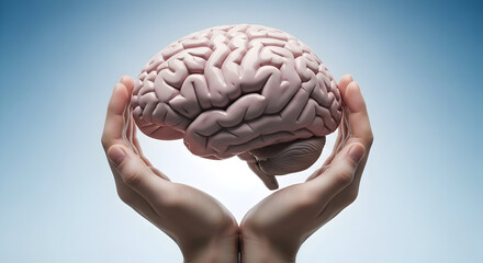 Human brain in hands on blue background, concept for idea, innovation, intelligence