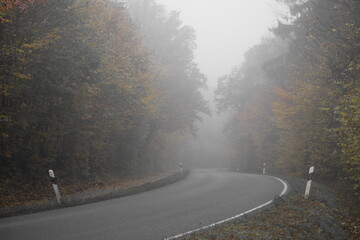 Herbststimmung im Moor, Herbstspaziergang