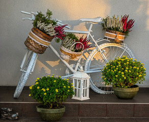 White painted bicycle acting as a planter against a wall with pots and a lantern