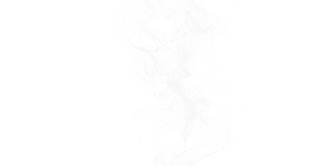 Ethereal Smoke Dance Mesmerizing White Vapor on Black Canvas Abstract Motion Artistic Photography Mystical Art Dreamlike