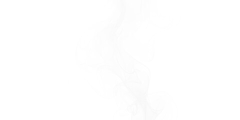 Abstract smoke art photography ethereal white swirls on black backdrop moody mystic mesmerizing flowing dark fantasy