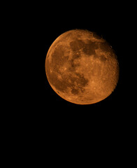 Orange Moon in the Night Sky