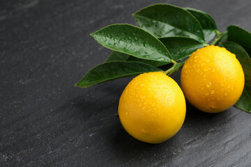 Branch with wet lemons and green leaves on dark textured table, closeup. Space for text