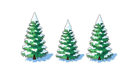 Fototapeta premium Three snowcovered evergreen trees standing in a row, isolated on transparent background