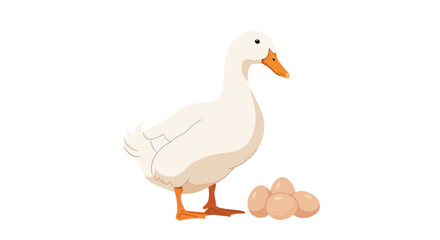 White Duck and Eggs Isolated on White Background Symbol of Farm Life Poultry and Nutrition