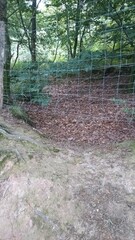 terre moussue avec creux et grillage naturel