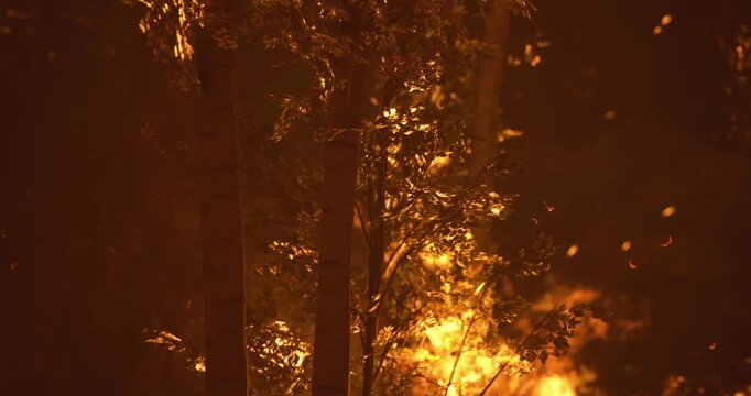 Flames rapidly spread through a dense forest as darkness falls. Smoke billows into the sky while embers dance among the trees, creating an alarming visual of natures fury.