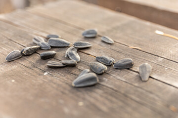 Close up of sunflower seeds on wooden table outdoors for snack, food, bird feeding.  Natural food and everyday nourishment.