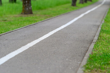 Obraz premium A Tranquil Pathway in Nature Surrounded by Lush, Beautiful Greenery and Inviting Scenery