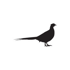 Pheasant silhouette icon vector flat illustration