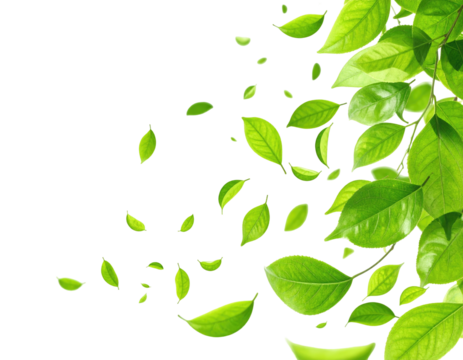 Lush green leaves cascading on a black backdrop, creating a vibrant natural composition - Powered by Adobe