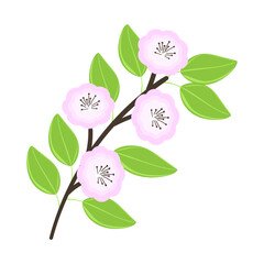 Elegant sakura flower. Cozy holiday decoration. Flat vector illustration.
