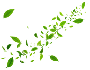 Isolated leafy elements in vibrant green arranged in dynamic, swirling composition