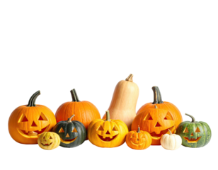 Group of various pumpkins and gourds of differing shapes, sizes, and colors