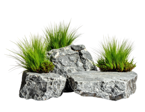 Gray rocks support bright green plants and grasses against a transparent black backdrop
