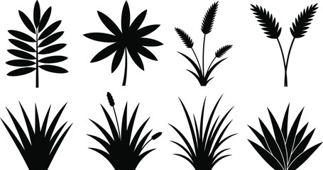 Plant silhouette illustration, black foliage shapes, botanical vector design, grass leaves artwork, floral nature elements, decorative plant icons, garden vegetation graphics