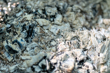 This is a CloseUp image of Ashes that originate from various Burnt Material types