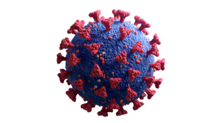 A detailed render of a spherical virus with surface spikes against a black background