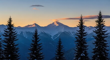Mountain range with snowy peaks at dusk framed by evergreen trees