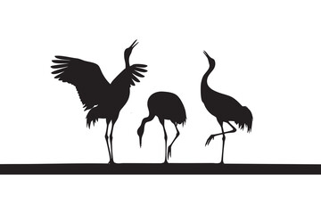 Fototapeta premium Three black silhouette cranes one with wings spread on a white background bird animal