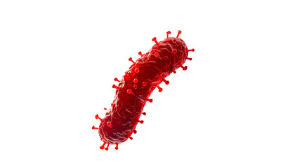 A realistic, red, rod-shaped microscopic organism with spike-like protrusions