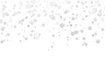 Falling snow overlay with diverse white snowflakes and specks, creating a dynamic winter atmosphere, perfect for seasonal designs.