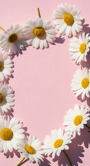 Bright white daisies on pink background wallpaper, spring floral frame