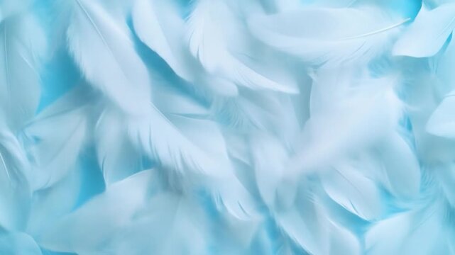 Soft white feathers texture on light blue background fluffy and airy pattern for serene design