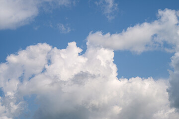 Fluffy, soft white clouds drifting gracefully against a bright, clear blue sky above