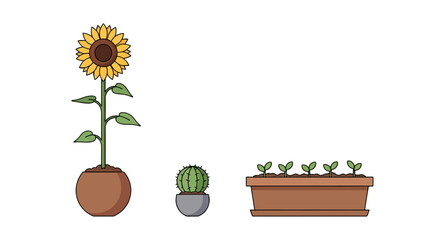 Vibrant Sunflower Spiky Cactus and Seedlings in Pots.