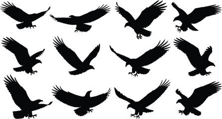 Bird of prey silhouette set, flying and landing eagle icons, flat vector illustration for wildlife, nature, predator, freedom, design use