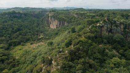 Verdant Valley Vista. A Landscape of Textured Cliffs and Dense Forest Canopy.