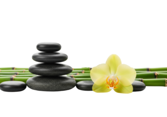 Five smooth grey zen stones stacked, green bamboo stalks, yellow orchid flower on reflective white surface with seamless background. Concept of profound serenity and natural balance