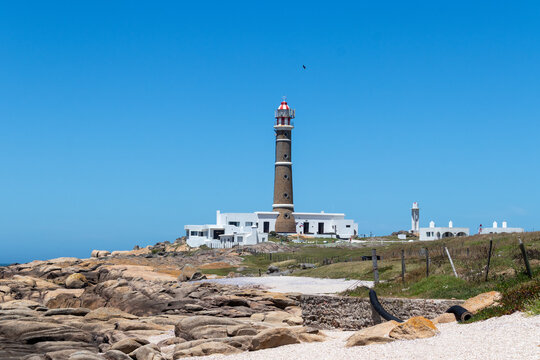 Cabo Polonio Nature &mdash; Wildlife, Coast & Landscape Photography	
