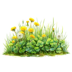 Green grass and yellow flowers isolated on transparent background