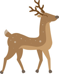 one deer without a background