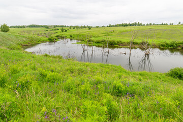A Serene and Beautiful Natural Landscape featuring Lush Greenery and a Tranquil Water Body