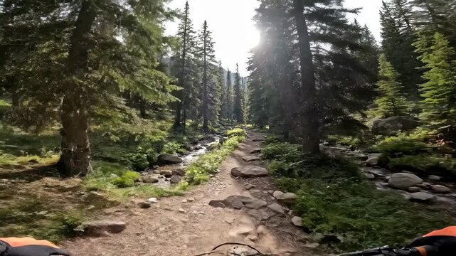 A mountain biker rides through wooded terrain along a river. Footage. View from the eyes. - Powered by Adobe