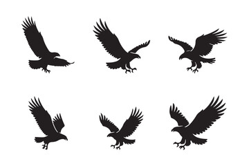 Set of flying eagle silhouettes in various flying poses, Isolated on white background, Nature bird vector set.
