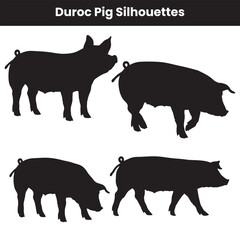 Duroc Pig Silhouettes