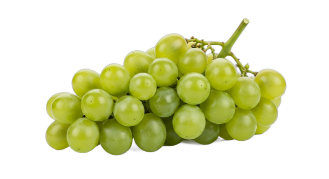 A vibrant bunch of fresh green table grapes isolated on a clean transparent background png.
