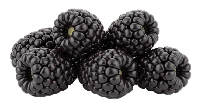 A small pile of fresh ripe blackberries isolated on a transparent background png.