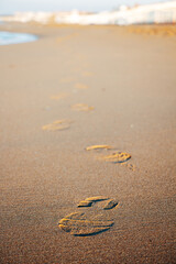 Footprints in the Sand on a Sunny Beach